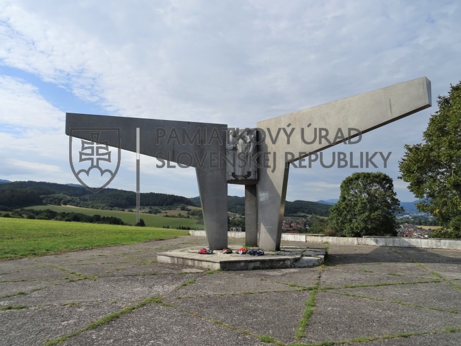 Identifikačná fotografia